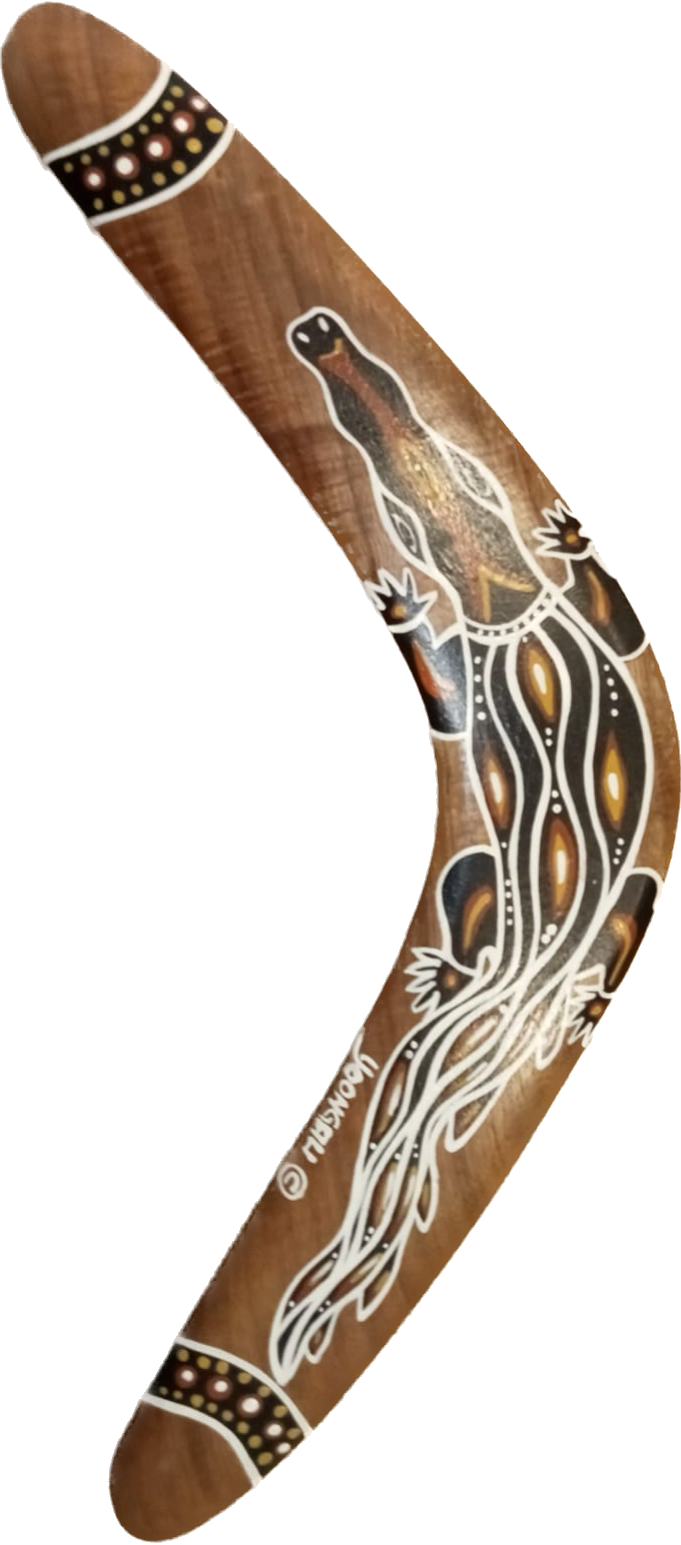 Black Wattle Boomerang (16 inches)