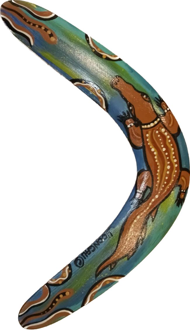 Painted Boomerang (16 inch)