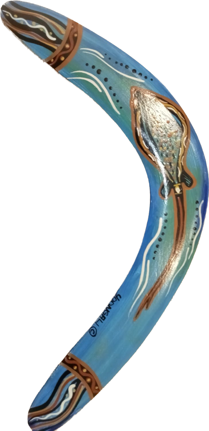 Painted Boomerang (16 inch)