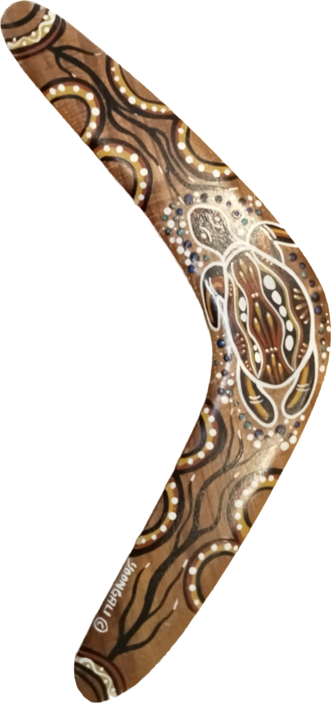 Black Wattle Boomerang (16 inches)